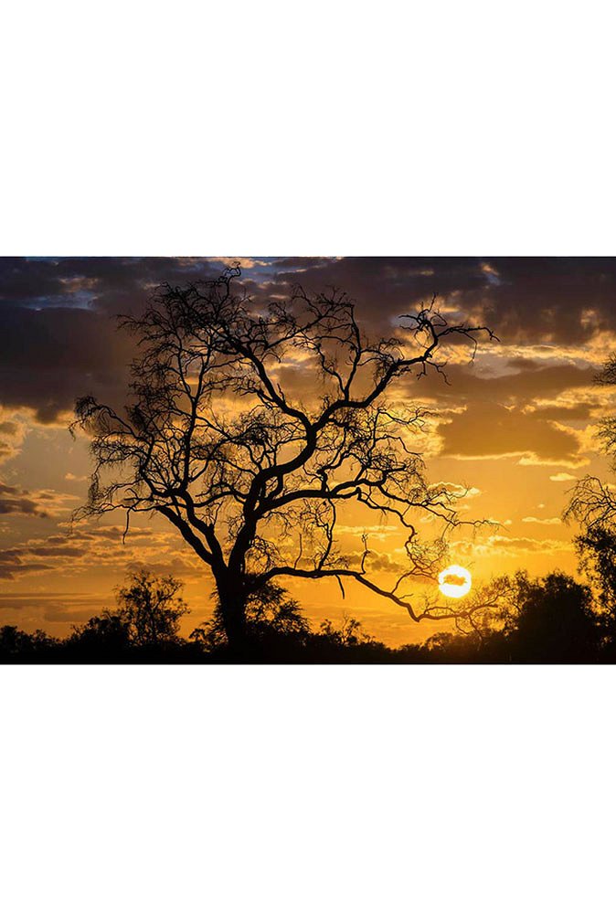 5f1ba465e7299_atardecer-chaco-ka´avy_dsc4976.jpg