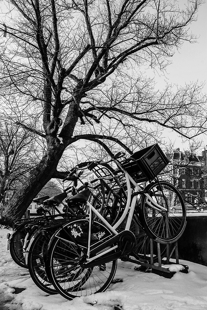 5f1daac7bbe4a_foto-13-bw.jpg
