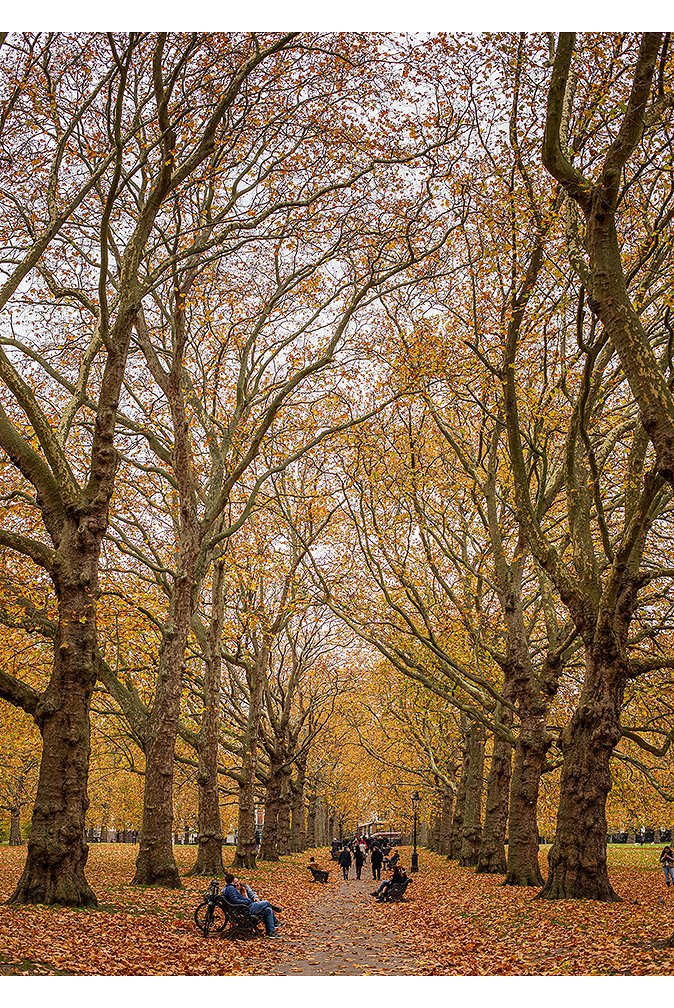 62a39f845921f_londres-2-lmina.jpg