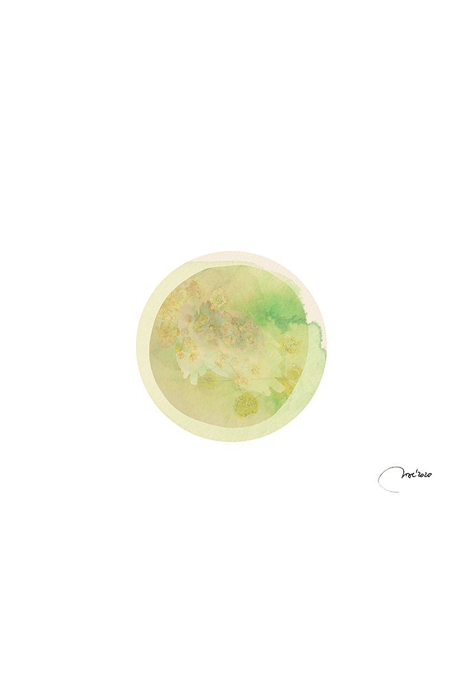 61ccae8dcb9cf_lamina2-(1).jpg
