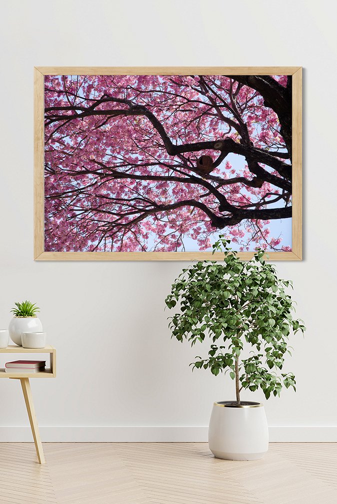 6037951715dc2_mockup-tajy-rosado02.jpg