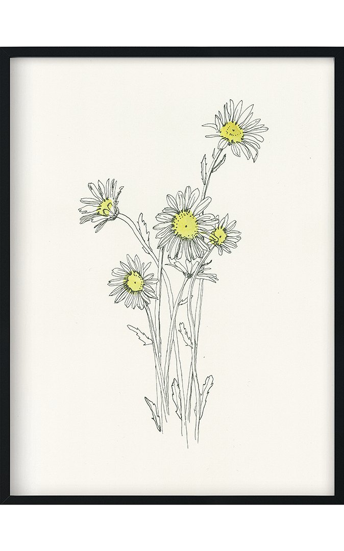 5e7d31be9b991_minimalist-flowers-1.jpg
