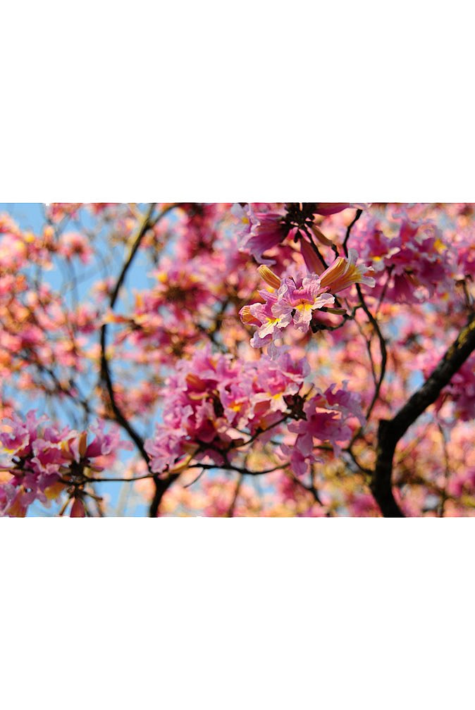 5f1ba5e1c9939__dsc4073.jpg